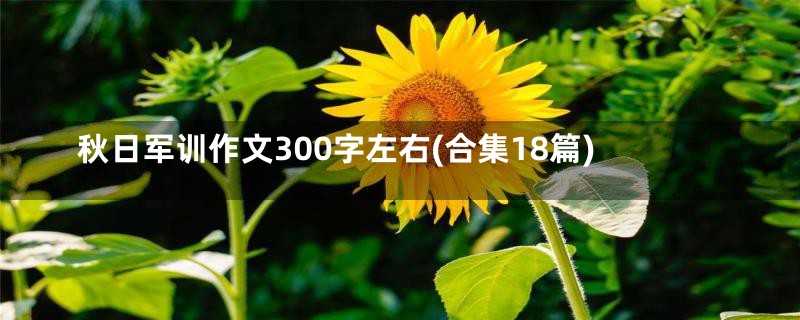 秋日军训作文300字左右(合集18篇)