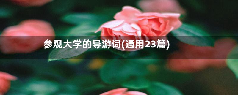 参观大学的导游词(通用23篇)