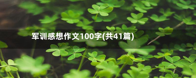 军训感想作文100字(共41篇)