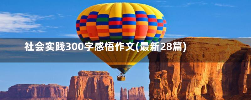 社会实践300字感悟作文(最新28篇)