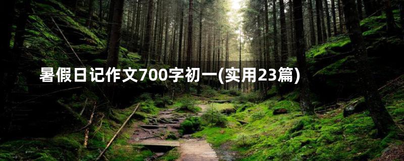 暑假日记作文700字初一(实用23篇)