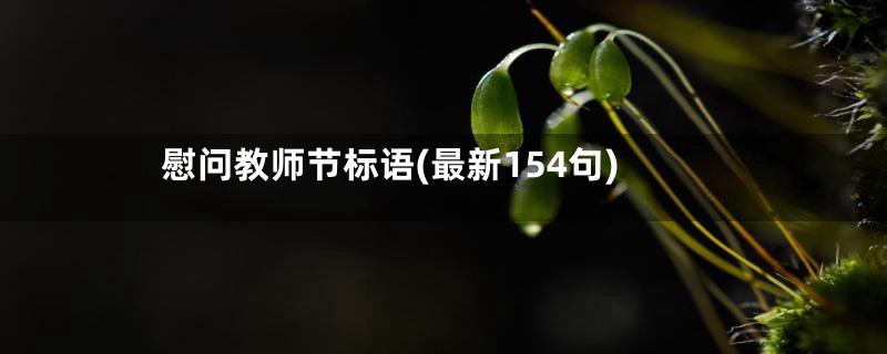 慰问教师节标语(最新154句)