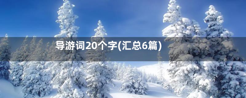 导游词20个字(汇总6篇)