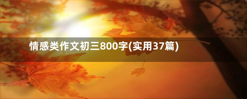 情感类作文初三800字(实用37篇)