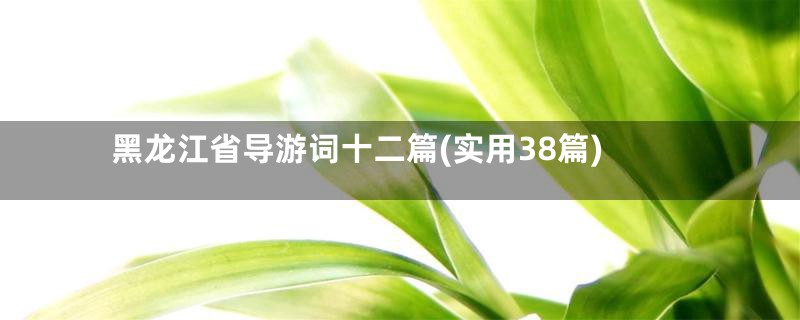 黑龙江省导游词十二篇(实用38篇)