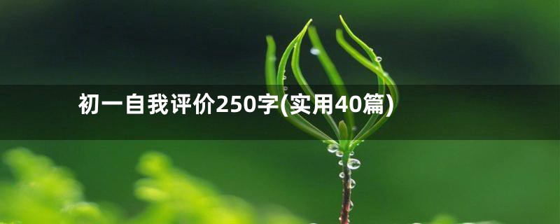 初一自我评价250字(实用40篇)