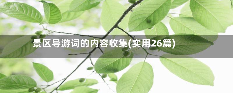 景区导游词的内容收集(实用26篇)