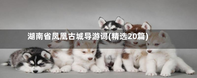 湖南省凤凰古城导游词(精选20篇)