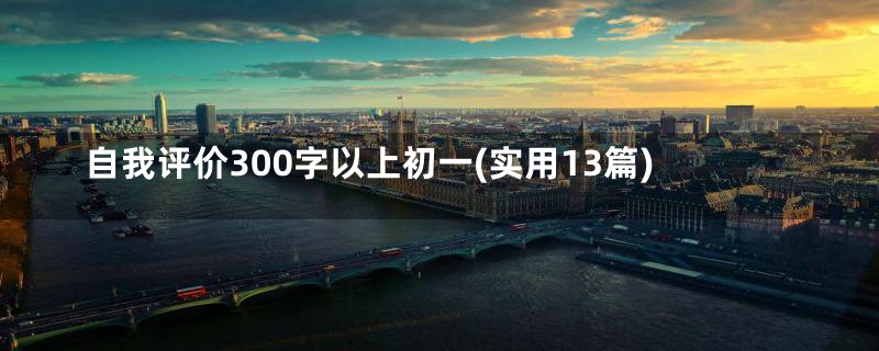 自我评价300字以上初一(实用13篇)