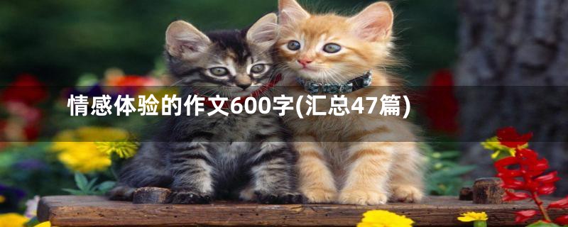 情感体验的作文600字(汇总47篇)