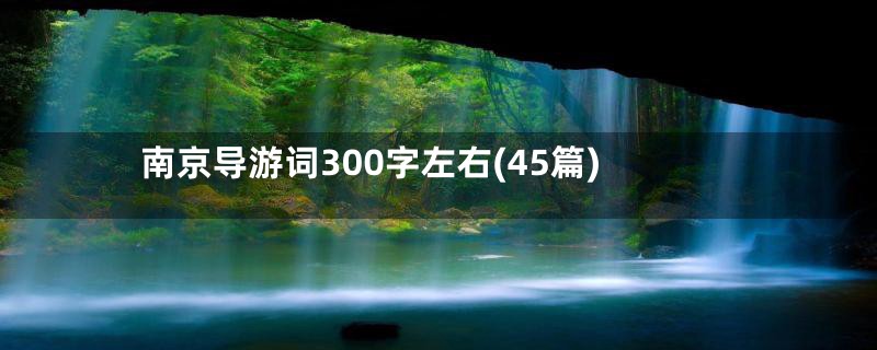 南京导游词300字左右(45篇)