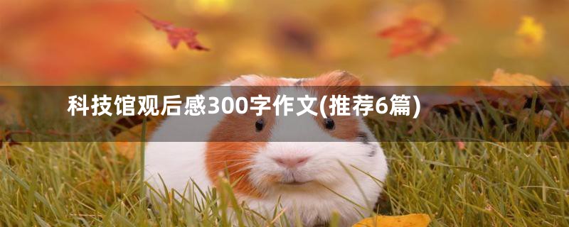 科技馆观后感300字作文(推荐6篇)