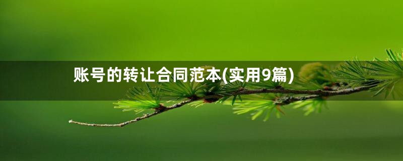 账号的转让合同范本(实用9篇)