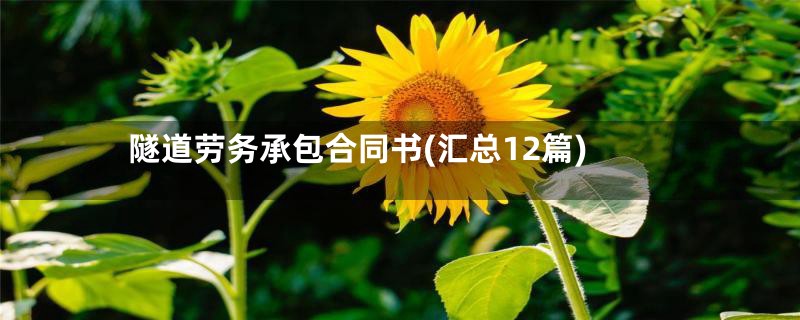 隧道劳务承包合同书(汇总12篇)