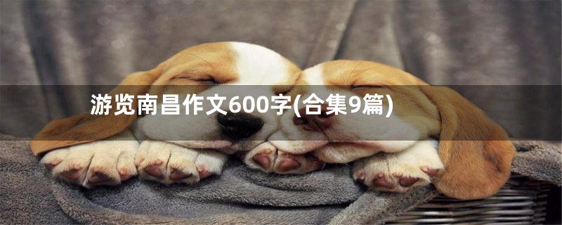 游览南昌作文600字(合集9篇)