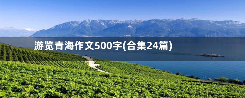 游览青海作文500字(合集24篇)