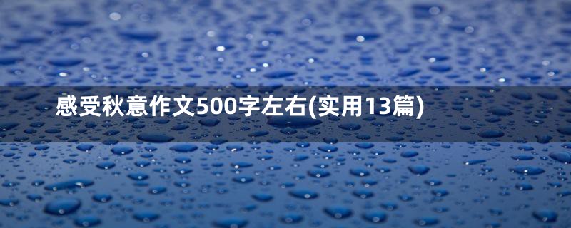 感受秋意作文500字左右(实用13篇)