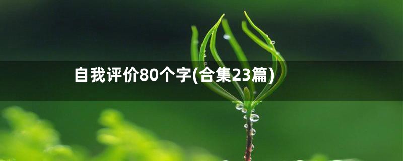 自我评价80个字(合集23篇)