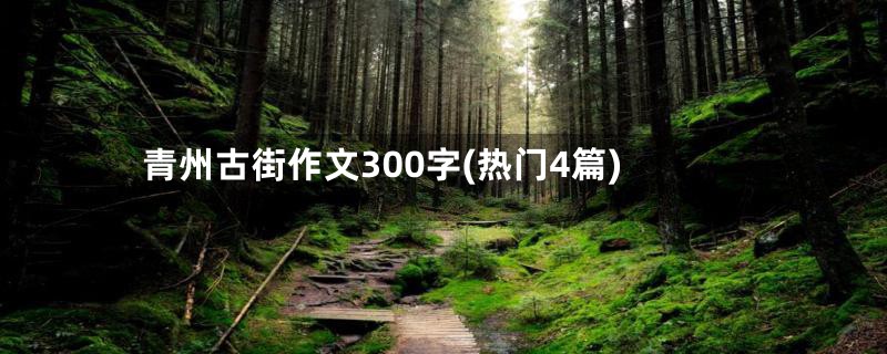 青州古街作文300字(热门4篇)