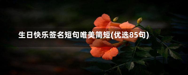 生日快乐签名短句唯美简短(优选85句)