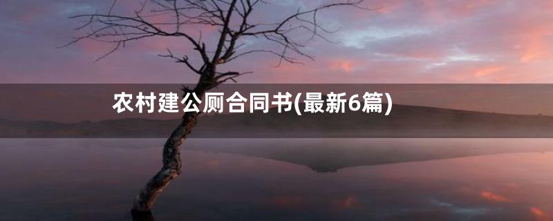 农村建公厕合同书(最新6篇)