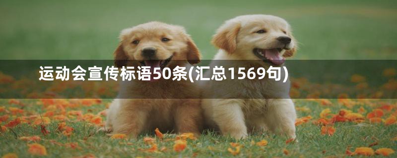 运动会宣传标语50条(汇总1569句)