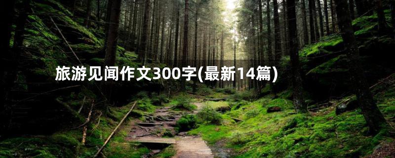 旅游见闻作文300字(最新14篇)