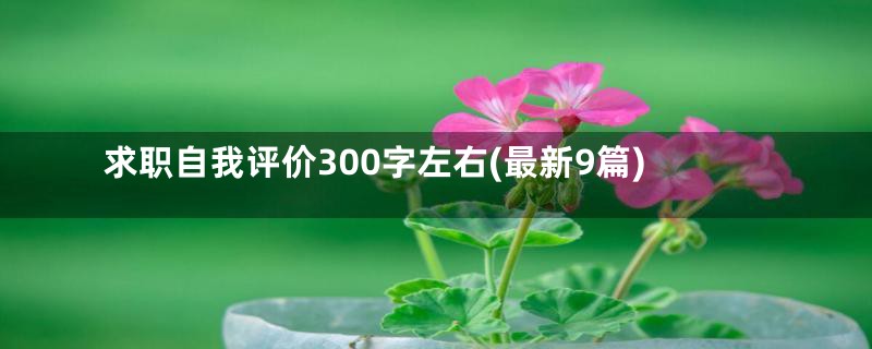 求职自我评价300字左右(最新9篇)