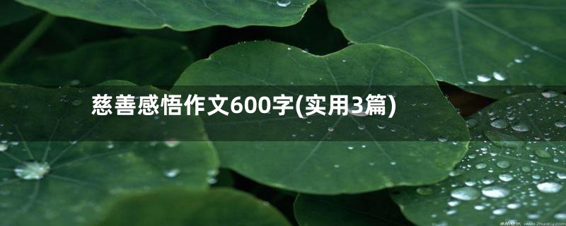 慈善感悟作文600字(实用3篇)