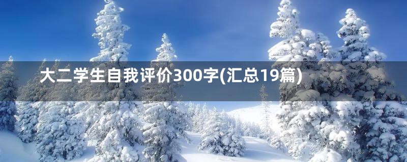 大二学生自我评价300字(汇总19篇)