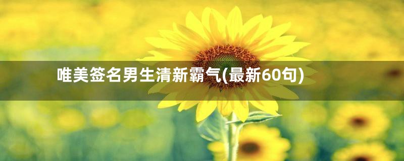 唯美签名男生清新霸气(最新60句)