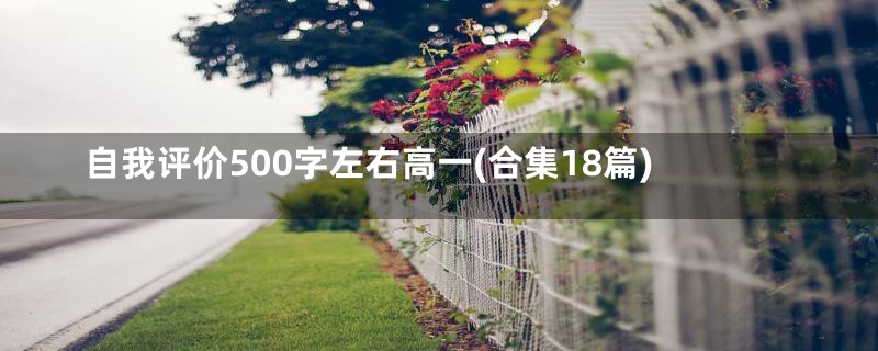 自我评价500字左右高一(合集18篇)