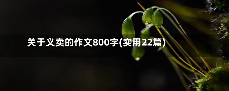 关于义卖的作文800字(实用22篇)