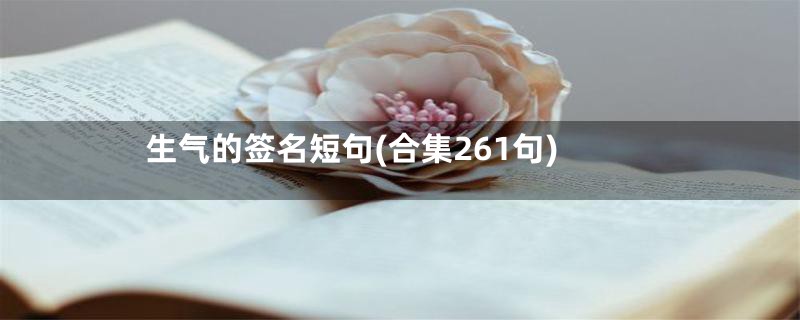 生气的签名短句(合集261句)