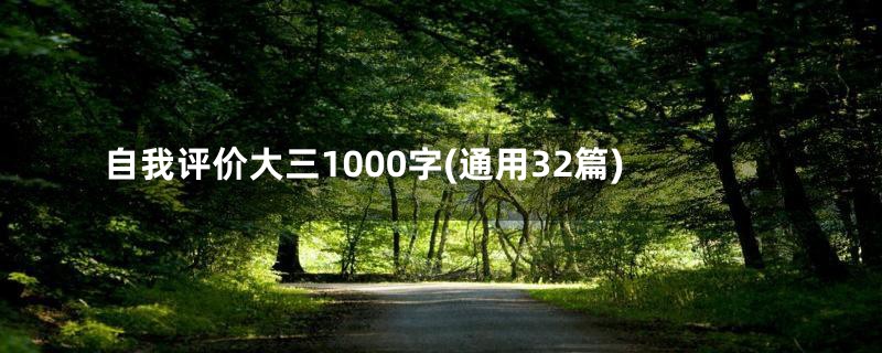 自我评价大三1000字(通用32篇)