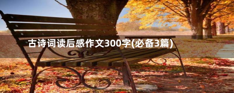 古诗词读后感作文300字(必备3篇)