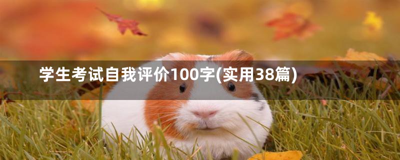 学生考试自我评价100字(实用38篇)