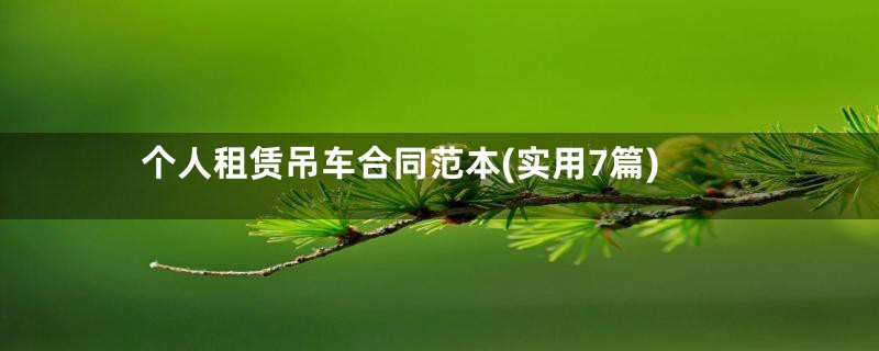 个人租赁吊车合同范本(实用7篇)