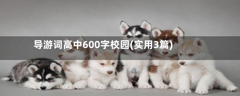 导游词高中600字校园(实用3篇)