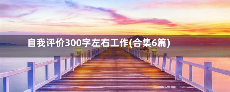 自我评价300字左右工作(合集6篇)