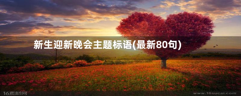 新生迎新晚会主题标语(最新80句)