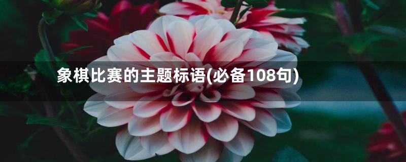 象棋比赛的主题标语(必备108句)