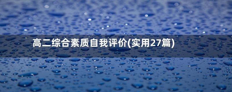 高二综合素质自我评价(实用27篇)