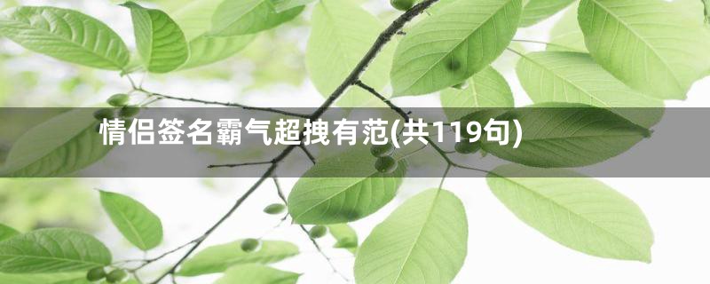 情侣签名霸气超拽有范(共119句)