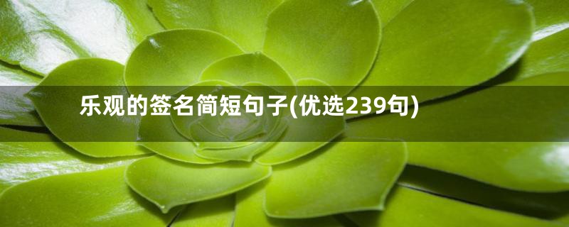 乐观的签名简短句子(优选239句)