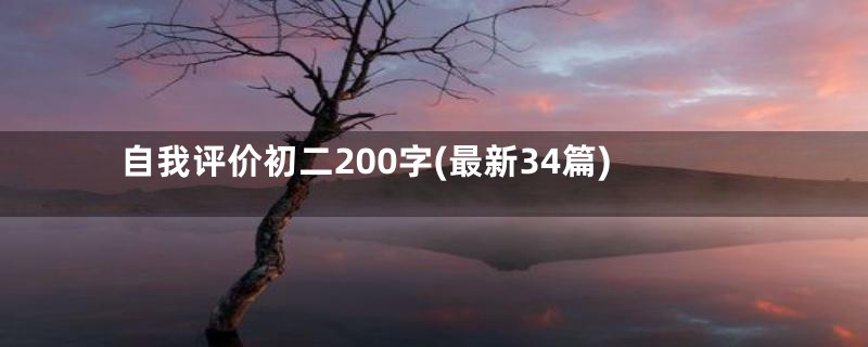 自我评价初二200字(最新34篇)