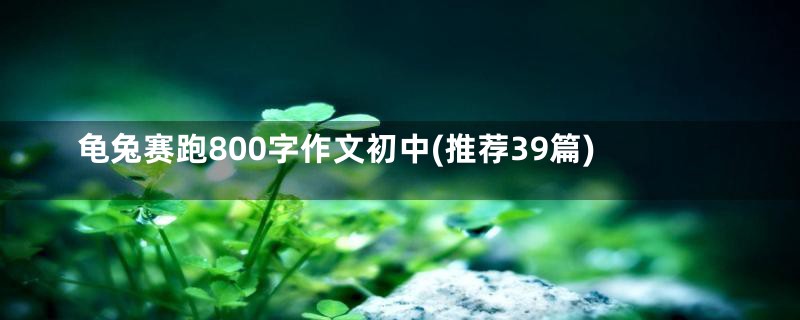 龟兔赛跑800字作文初中(推荐39篇)