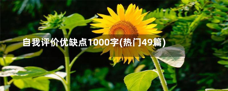 自我评价优缺点1000字(热门49篇)