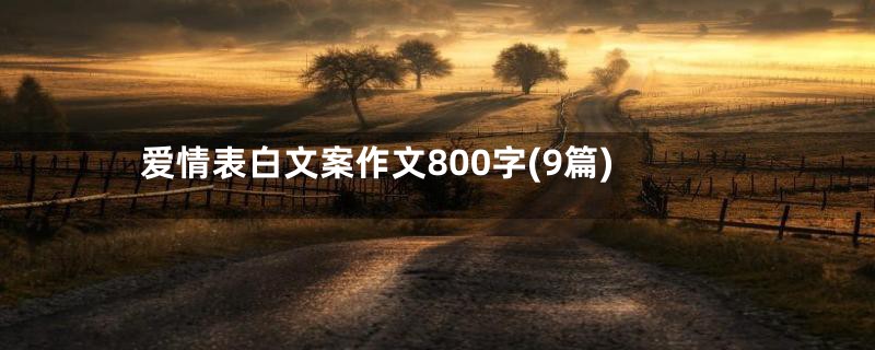 爱情表白文案作文800字(9篇)