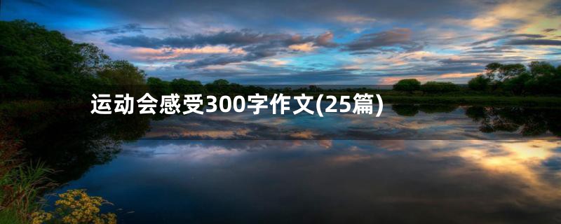 运动会感受300字作文(25篇)